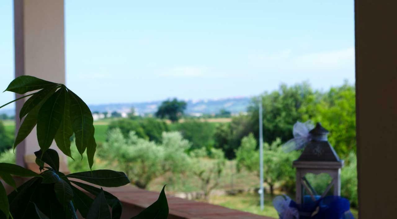 B&B Armonia Montecosaro  Exteriér fotografie